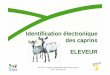 Identification électronique des caprins ELEVEUR · Sommaire La règlementation Le règlement européen 21/2004: les deux étapes Les textes français Identification électronique