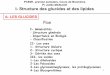 PCEM1, premier semestre, Cours de Biochimie Pr …aristote.datacenter.dsi.upmc.fr/disc/PCEM1/Cours/JM_glucide_2004.pdf · liqueur de Fehling 2 Cu++ 2 Cu+ 19-interconversion aldose