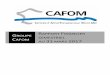 SEMESTRIEL 31 MARS 2017 - cafom.com · HT de 1,3 M€, voire 2M€ si nous revenons à notre normatif 2015 d’encours de clients restant à livrer. 3) Le développement de notre