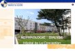 NEPHROLOGIE – DIALYSE Hôpital de LA CONCEPTIONihf.actes.tv/IMG/pdf/Nephro_ppt_Nantes_complet.pdf · 3 Entre 2006 et 2009, 10 bâtiments ont été construits dans le cadre d’Hôpital