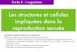 Les structures et cellules impliquées dans la reproduction ... · PDF filereproduction sexuée Partie II - L’organisme 1 Capacités exigibles ... Fécondation externe d’oursin