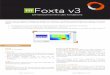 Foxta v3 - terrasol.fr · des fondations superficielles et profondes envisagés ... • Etre capable d’utiliser Foxta v3 pour les cas d’applications simples abordés au cours