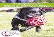 magazine Écoles Cernay Woippy - Page d'accueil - … · Permettez-moi de vous saluer avec chaleur et de vous ... de la Semaine nationale du chien guide en septembre et par la 