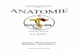Sch©mas Anatomie Rachis PCEM1 Anatomie - lca .Partenaire du Tutorat Associatif Toulousain. 3