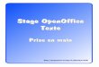 Stage OpenOffice Texte - physique.buil.pagesperso …physique.buil.pagesperso-orange.fr/openoff_text.pdf · Pour savoir à quoi sert un bouton ou un menu, placez la souris dessus