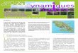 Les Plans Communaux de Paysage urbaines n°1.pdf · les Plans Communaux de Paysage, exemple particulièrement ... des Paysages de la Martinique, ... harmonieuse du futur bâti) 2.Le