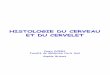 HISTOLOGIE DU CERVEAU ET DU CERVELETlouis.dewey.free.fr/Cours/D1/Embryo/1er semestre/Pdf... · 2010-11-05 · Régulation des échanges entre le sang et les neurones Cicatrisation