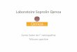 Laboratoire SoprolinQenoa€¦ · • Silicium organique hautement bio-disponible et stabilisé : ... • Huile d’argan • Beurre de karite • Huile de noisette • Aloevera