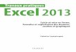 Travaux pratiques Excel 2013medias.dunod.com/document/9782100702053/Feuilletage.pdf · 2014-01-28 · 2 L’interface d’Excel ... (2e partie) ..... 56 Styles ... comme un manuel