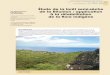 Étude de la forêt semi-sèche Jean-Michel 1 de la …bft.cirad.fr/cd/BFT_296_57-69.pdf · mise du fait de l’envahissement du milieu par les espèces exotiques. ... premiers temps