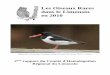 Les Oiseaux Rares dans le Limousin en 2010correze.lpo.fr/_media/rapport2010.pdf · −Nom français et scientifique, classement selon l'ordre systématique de la liste des Oiseaux