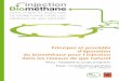 d’épuration du biométhane pour l’injection · Faisabilité du projet d’injection – Considérations générales version 19/08/2011 - 3 Principes de l’épuration pour l’injection