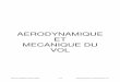AERODYNAMIQUE ET MECANIQUE DU VOL - …helico.org/IMG/pdf/Aerodynamique_MecaVol-V2.pdf · 5.2 Stabilité statique transversale.....19 . Brevet d’Initiation Aéronautique 3 / 21
