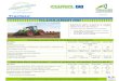 Tracteur Juillet 2011 - cuma.fr · Apparue en 2007, la gamme de tracteur Claas Arion 600 se décline en 4 modèles ... Débit hydraulique maxi (en litres/min) 110l/min Pression (en