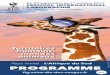 PROGRAMME · 1 1 Pays invité : L’Afrique du Sud FESTIVAL INTERNATIONAL GÉOGRAPHIE de Saint-Dié-des-Vosges DE Du 29 septembre au 1er octobre 2017 28e édition