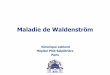 Maladie de Waldenström - OVHcluster013.ovh.net/~aihemato/AIH/documents/DES... · Véronique Leblond Hôpital Pitié Salpêtrière Paris . ... Chng et al (Blood, 2006) Gutierez et