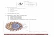 Généralités sur les virus - microbiamicrobia.free.fr/TS2ABM/Virologie/1_generalites_virologie.pdf · VIROLOGIE Chapitre 1 Généralités sur les virus 1. Structure des virus 1.1