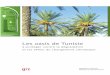Les oasis de Tunisie - environnement.gov.tn · en eau qui sont à la base de l’activité agricole et de la vie en milieu oasien. ... menthe et plantes florales ... patrimoine agricole