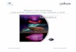 Table des matièresplaneterrella.osug.fr/IMG/pdf/stage_ingenieur_insa_2012... · 3 0BIntroduction Nous avons lors de ce projet travaillé sur la Planeterrella« » de Jean Lilensten,