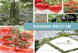 Gamme 2017-18 · Poivron Concombre Porte-greffe 10 Tomate ronde en grappe 12 Tomate ronde Tomate allongée ... L’alliance du TYLCV, du Torrado Virus, et de la qualit 