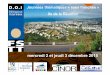 Journées thématiques « sans tranchée » Ile de la Réunion · 2015-12-21 · Définition des conditions de mise en œuvre de la réhabilitation des réseaux d’assainissement