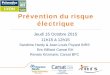 Prévention du risque électrique - carsat-ra.fr · Prévention du risque électrique et formation à l’habilitation . La CARSAT Rhône-Alpes et les organismes de formation