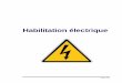 Habilitation électrique - formation-energetique.frformation-energetique.fr/images/.../Ressources/habilitation-cours-1... · Page 2/28 1 - Définition : L'habilitation est la reconnaissance