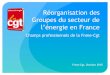 Réorganisation des Groupes du secteur de l’énergie en ...mm1.cgt.fr/fnme/upload/page/document/reorganisation-des-groupes-v0... · Stratégie, SSSQE, SI, etc… Directions Régionales