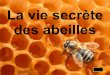 La vie secrète des abeilles - MenuTicEdu · Le cycle de la vie de l'abeille commence avec la ponte des oeufs. La reine pond dans les alvéoles de 1500 à 3000 oeufs. La reine qui