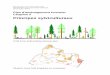 Principes sylviculturaux - République et canton de … · Plan d'aménagement forestier Chapitre 5 Principes sylviculturaux Profil d'une forêt jardinée pied par pied ... un espace
