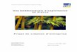 Une bambouseraie d’exploitation en Francelevrardthibaud.free.fr/lte3/bambouseraie.pdf · 5 1. Le bambou : un matériau mondialement utilisé Dans une première partie nous allons