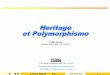 Heritage et Polymorphisme - LIG Membreslig-membres.imag.fr/genoud/ENSJAVA/cours/supportsPDF/Heritage2.pdf · A la compilation: seules des vérifications statiques qui se basent sur