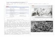 ETUDE D’UN ENSEMBLE DOCUMENTAIRE 1945 : …jlblin-cartographie.pagesperso-orange.fr/Devoirs/Terminale/1945... · Le rétablissement de l'ordre en Europe et la reconstruction de