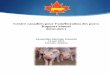 CCAP Rapport annuel 2010-2011 FINAL - ccsi.ca · et le site Web du CCAP de classe mondiale. La génétique porcine de race pure au Canada est reconnue comme la meilleure au monde