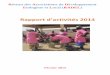 Réseau des Associations de Développement …cde-saare.de/wp-content/uploads/2016/08/RAPPORT-ANNUEL-RADE… · Rapport d ’activités 2014. 2 ... la teinture, la farine de manioc