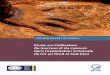 Etude sur l’utilisation du mercure et du cyanure dans l ...ipisresearch.be/wp-content/uploads/2017/06/1709-Voices-MERCURE.pdf · Etude sur l’utilisation du mercure et du cyanure