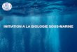 INITIATION A LA BIOLOGIE SOUS-MARINE · La pleine eau et les fonds des mers ... A certains endroits, sa peau fait plus de 10 ... Principaux prédateurs : Orque homme et