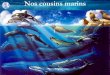 Nos cousins marins - … · La Baleine à bec Le Dauphin L’Orque. ... siège de la pensée consciente et sur sa capacité ... a essentiellement lieu au niveau de la peau