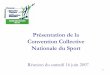 Présentation de la Convention Collective Nationale du …ganoninc.free.fr/gym/pre.pdf · 5 Animateur Sportif F.F.E.P.G.V. Définition de l’emploi : L’animateur sportif initie