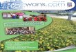 wans.com N°29- printemps 2018€¦ · dans tous les magains Hubo * Max 1 bon par client * Non cumulable avec les articles dans notre dépliant, ... • marché d’hiver 2018
