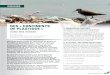CONTINENTS DE PLASTIQUE - evb.lacsq.org · Par contre, pour la planète, il est un véritable ... Les oiseaux de mer rapportent à leurs oisillons des bouchons de plastique, des stylos,