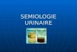 SEMIOLOGIE URINAIRE - Globaux/Urologie Nephrologie/Cours...  semiologie urinaire. parametres normaux