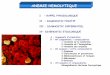 I - RAPPEL PHYSIOLOGIQUE II - DIAGNOSTIC … · 1- Ictères non hémolytiques à bilirubine conjuguée: ... (TCD) détecte les anticorps situés à la surface des GR par un anticorps