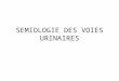 SEMIOOGIE DE VOIE URINAIRE - IASI DENTAIRE - …iasi-medecine.weebly.com/.../5482113/07_semiologie_de… · PPT file · Web viewSEMIOLOGIE DES VOIES URINAIRES SIGNES FONCTIONALES