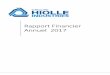 Rapport Financier Annuel 2017 - hiolle-industries.com reglementees... · 4 Groupe HIOLLE INDUSTRIES – Rapport Financier Annuel au 31/12/2017 PARTIE II - RAPPORT DE GESTION SUR LES