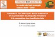 JOURNEE TECHNIQUE BOIS ENERGIE De la · PDF fileSource INSEE 2012 16 •2886 Entreprises (19 % Rhône Alpes) ... Plaquette forestière humide Plaquette forestière sèche 10 700 46