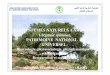 ECOSYSTEMES NATURELS A ARGANIER Argania … · Jaafar Midelt (Mai 2010) Semis naturel de chêne vert au sein de plantes nurses-Forêt de Tanourdi (Septembre 2011) ... – améliorer