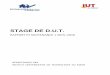 STAGE DE D.U.T. - IUT Le Mans - Institut Universitaire de ...iut.univ-lemans.fr/gea/donnees/LivretStageGEA.pdf · Le rapport de stage est une analyse ordonnée des missions préalablement