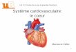 Système cardiovasculaire: le coeur - IFSI DIJON … · système de vaisseaux sanguins peut être assimilé à un réseau routier ... • B2 = ta = fermeture valves (Aortique et Pulmonaire)