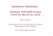 Systèmes distribués Sockets TCP/UDP et leur mise en …ecariou.perso.univ-pau.fr/cours/cs-umbb/cours-sockets.pdf · mise en œuvre en Java Eric Cariou Université de Pau et des